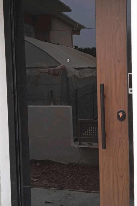 Glass security door