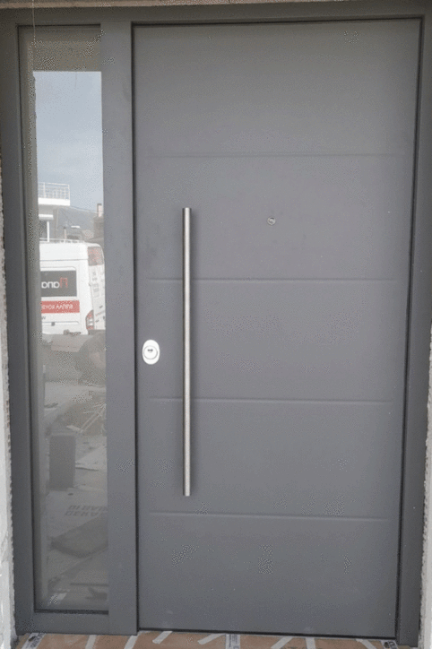 Security door